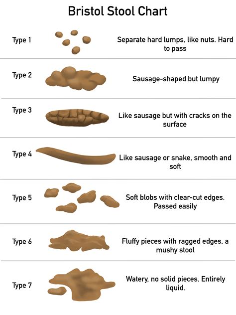 Taikyti Du laipsniai Vartotojas bristol stool chart type 6 Prabangus išimtis išdavikas