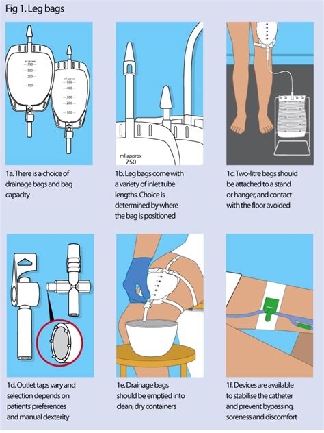 Foley Catheter Care Plan