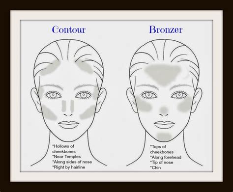 Contour Placement vs Bronzer Placement : r/BeautyDiagrams