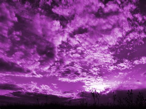 Me, the Visionary Enlightened Soul: Purple Sky