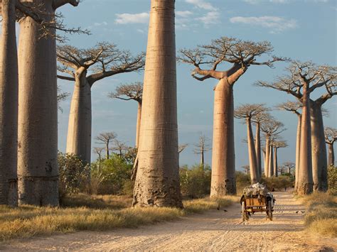 The 50 Most Beautiful Places in Africa - Photos - Condé Nast Traveler