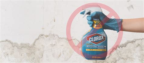 Bleach Won’t Kill Mold - Mold Doctors USA