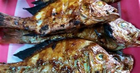 Resep Ikan bakar kakap merah by Sii Trias💓 oleh Sii Trias - Cookpad