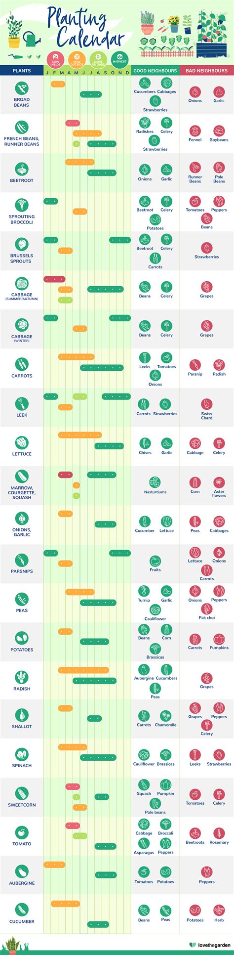 What to plant when garden calendar | Love The Garden