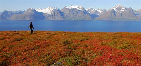 Visit Norway in autumn in all its many colours | Lyngen Lodge