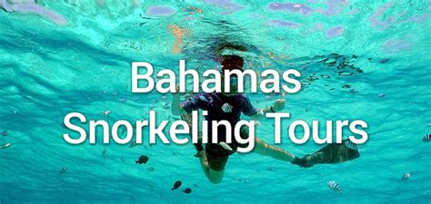 Bahamas Snorkeling Tours