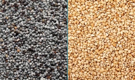 Poppy Seeds vs Sesame Seeds: The Same? | Let's Foodie