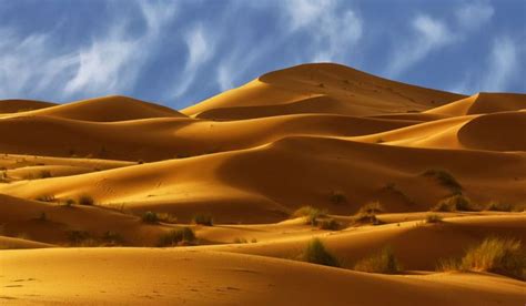 Amazing Facts: Interesting facts about the Sahara Desert | NewsTrack English 1