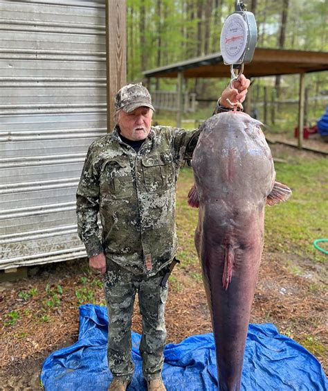 These giant Mississippi state record catfish weigh over 100 pounds, but how old are they?