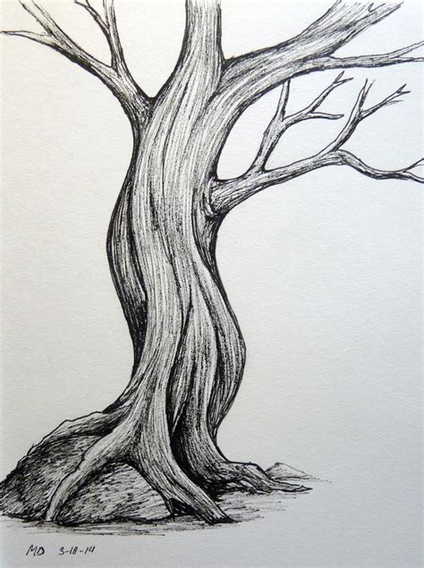 Pin by rute alves on Marfim | Tree drawings pencil, Tree drawing, Tree illustration