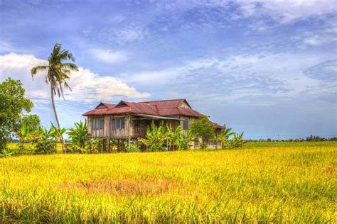 Cuti-Cuti Malaysia, Jom Bercuti Sambil Jadi Pesawah Di Marang, Terengganu! | Rileklah.com