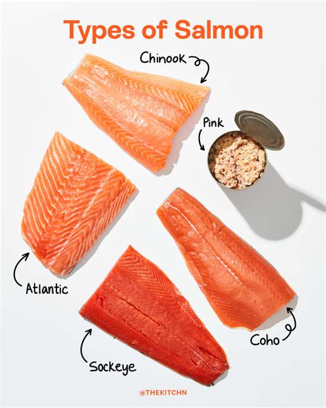 Types of Salmon: A Visual Guide to Wild and Farmed Salmon | The Kitchn