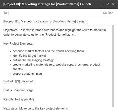 How to Write a Project Summary? (Examples & Templates)