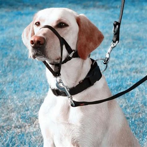 Aliexpress.com : Buy Pet Dog Head Collar Gentle Halter Leash Leader for ...