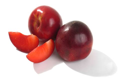 Plumcot vs Pluots | Hybrid Fruits Explained - Butter N Thyme