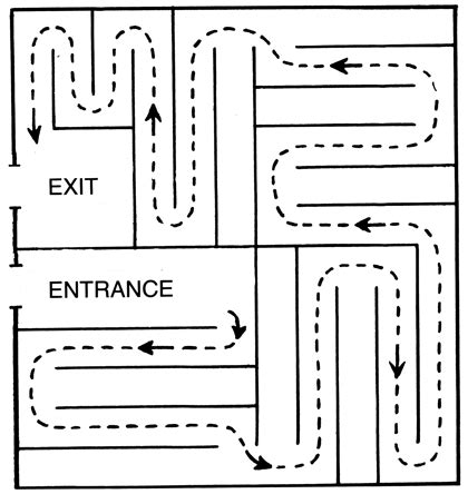 Cognitive Map | Definition & Examples - Video & Lesson Transcript ...