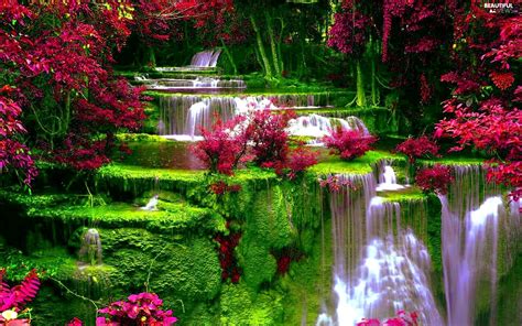 Waterfall Flowers Wallpapers - Wallpaper Cave