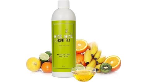 Best Fruit Fly Killer Indoor - Camoguys