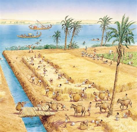 Egypt farming | Antico egitto, Egitto, Storia