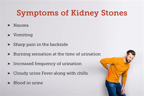 Kidney Stones: Causes, Symptoms, Treatments And More