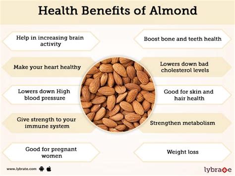 Almond Benefits And Its Side Effects | Lybrate