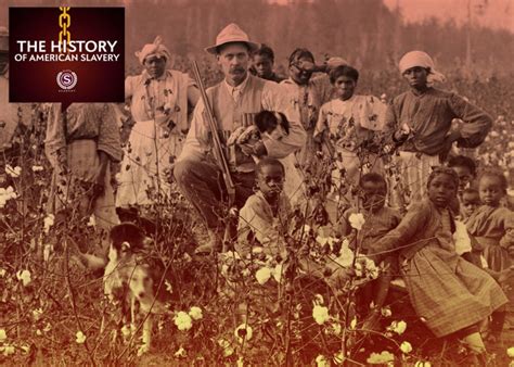 Cotton Plantations Slavery