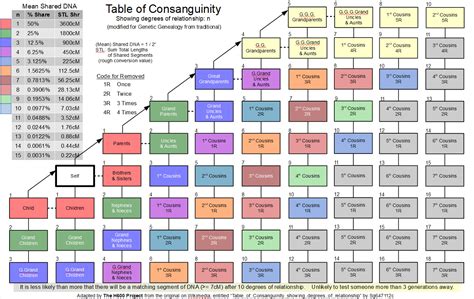 Consanguinity And Affinity Chart