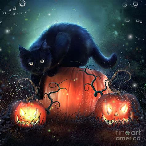 Black Cat Digital Art by Jessica Allain