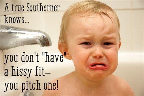 Funny Southern Sayings, Expressions, and Slang - WanderWisdom