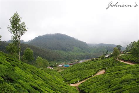 Johnson's: Munnar Hill Station