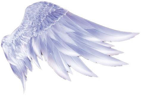 Wing Icon - Angel wings png download - 736*503 - Free Transparent Wing png Download. - Clip Art ...