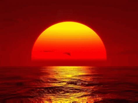 Sunshine Sunset GIF - Sunshine Sunset - Discover & Share GIFs | Sunset gif, Gif background, Sunset