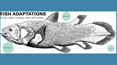 Fish Adaptations by Natalie Hoots on Prezi