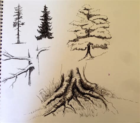 Tree Roots Drawing at GetDrawings | Free download