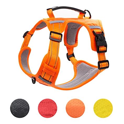 Dog Harness with Handle – The 15 best products compared - Wild Explained