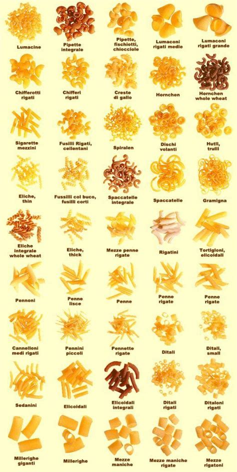 Tipos de pastas | Pasta restaurants, Pasta shapes, Pasta types