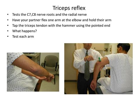 Triceps Tendon Reflex