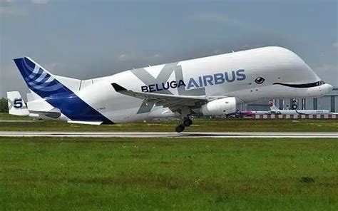 Whale-shaped Airbus Beluga XL has seriously strange interior