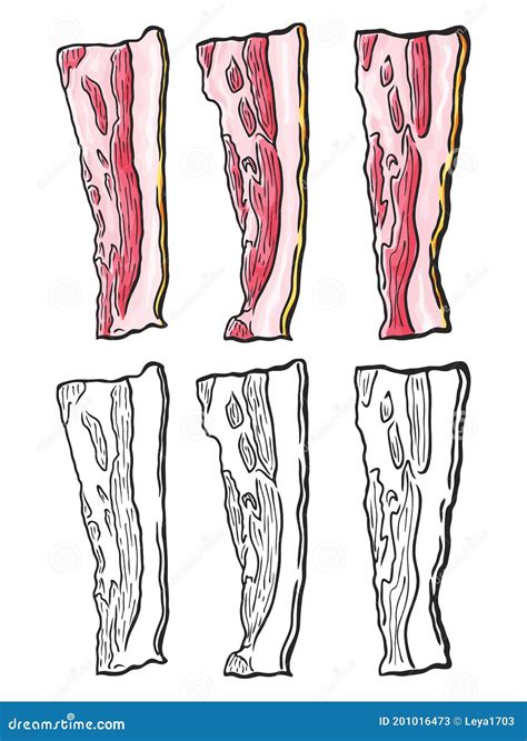 Set of Hand Drawn Bacon Slices. Vector Illustration Stock Vector - Illustration of meal ...