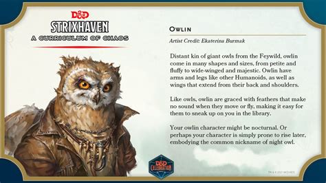 D&D: Strixhaven Will Let You Play An Owl, Get A Job - Bell of Lost Souls