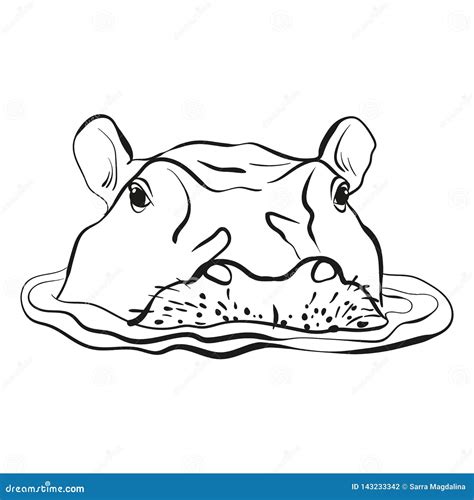 Hand Drawn Sketch Portrait of Cute Hippo in the Water. Vector Illustration Isolated on White ...