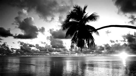 Black And White Photo Of Beautiful Nature HD Black And White Wallpapers | HD Wallpapers | ID #69927