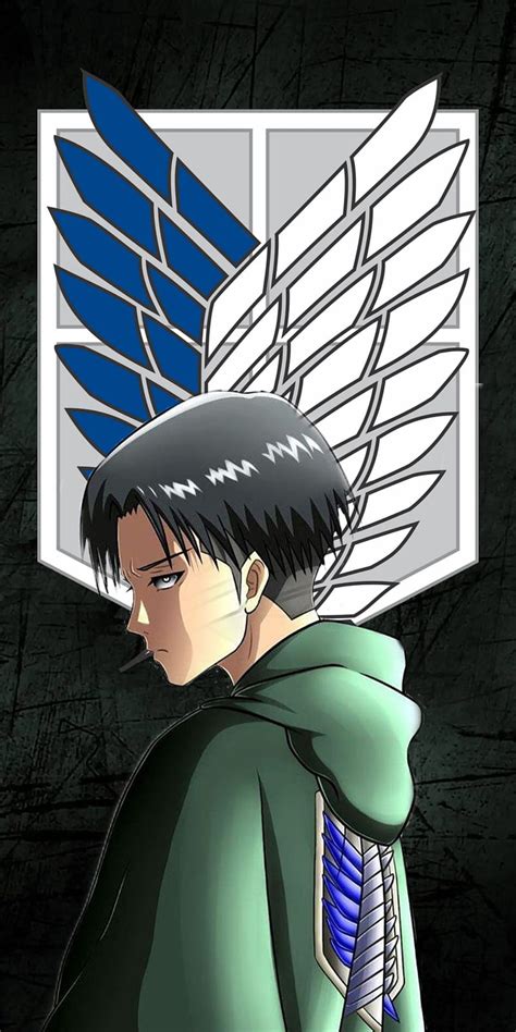 Attack On Titan Levi – Telegraph