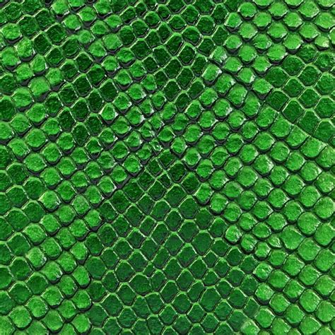 Green snake skin texture. Reptile and serpent scales surface. Graphic resource and background ...