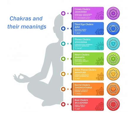 Understanding the Chakras: an Intro to the Tantric Model - Samarali