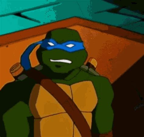 Leonardo Tmnt 2003 GIF - Leonardo TMNT 2003 DNCVOIDLOLOLOL - Discover & Share GIFs