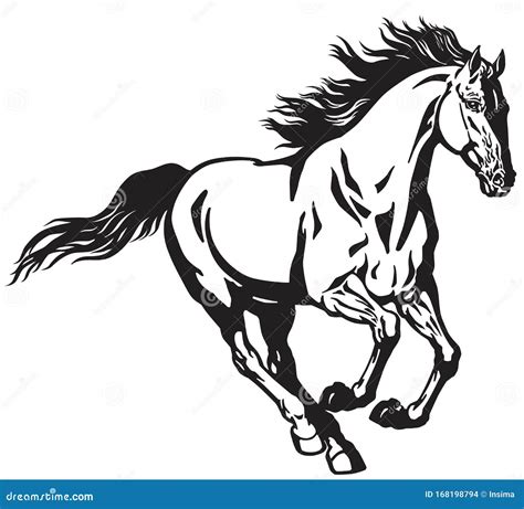 Galloping Wild Horse. Black and White Stock Vector - Illustration of black, isolated: 168198794