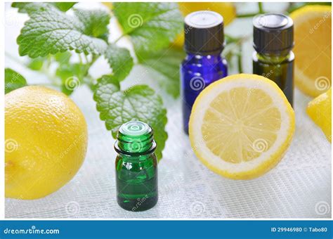 Natural Aromatherapy with Herbs and Lemon Stock Photo - Image of healthcare, flower: 29946980