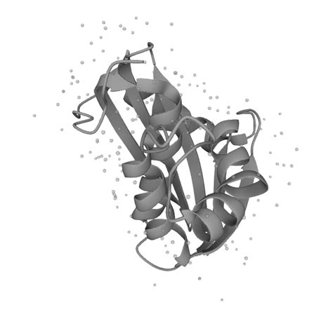 RNase H (RNH-EE101) – KACTUS