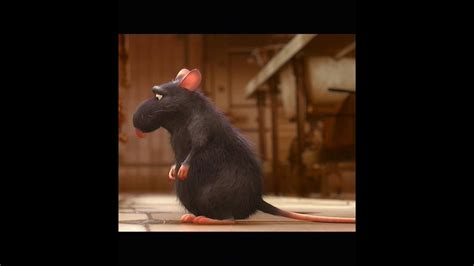 Ratatouille: Django (2007) (11) - YouTube